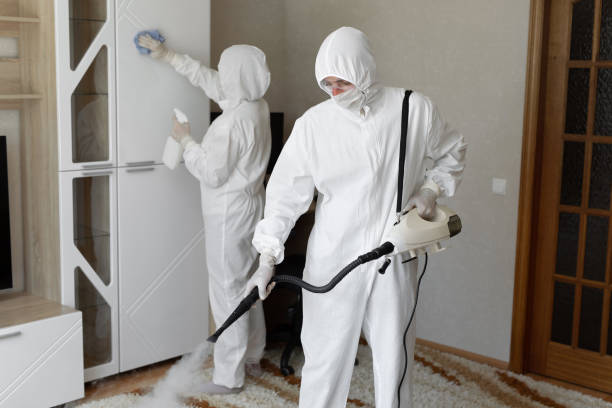 Best Local Mold Removal Service  in Hillsboro, WI