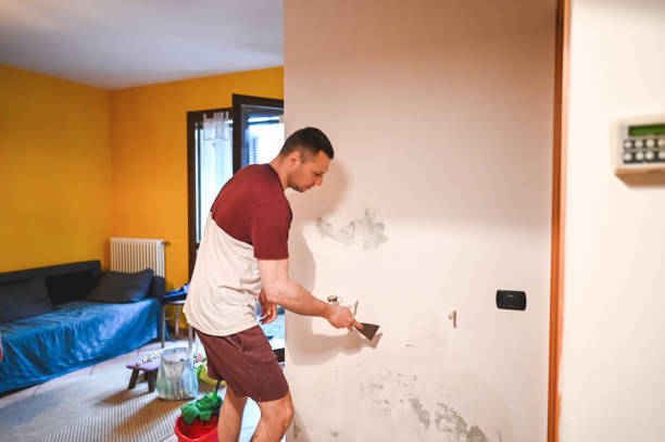 Best Home Mold Removal  in Hillsboro, WI